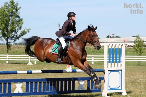 Показательные выступления на конкурном поле конно-спортивной школы
