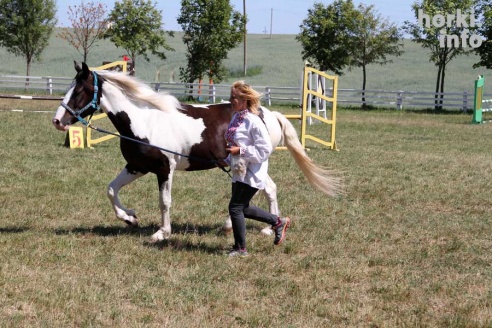Показательные выступления на конкурном поле конно-спортивной школы