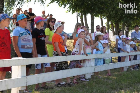 Показательные выступления на конкурном поле конно-спортивной школы