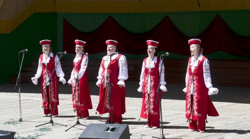 Пастаўчане адзначылі галоўнае свята краіны (+фота)