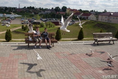 Почему Глубокое называют "белорусской Венецией"