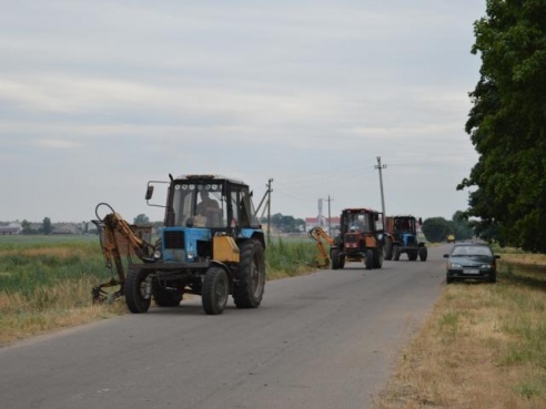 В Любанском районе уничтожено 5 тонн дикорастущей конопли