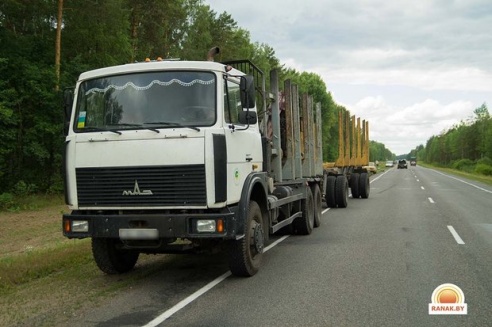 В Светлогорском районе беременная женщина на Opel врезалась в попутный МАЗ