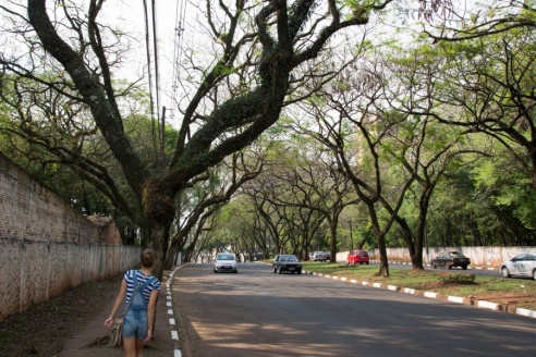 Из Рио-де-Жанейро в Фос-ду-Игуасу