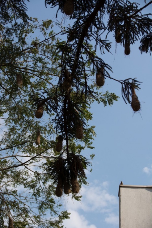 Из Рио-де-Жанейро в Фос-ду-Игуасу