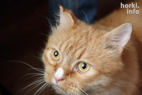 "Я уверена, что никогда больше не потянусь к стакану"