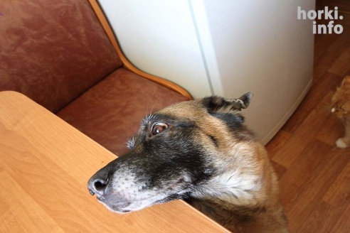 "Я уверена, что никогда больше не потянусь к стакану"