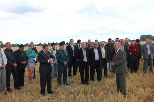 ДАЖЫНКІ-2015: на Ганцаўшчыне дадзены старт уборачнай кампаніі (фотарэпартаж)