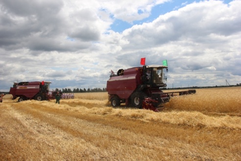 ДАЖЫНКІ-2015: на Ганцаўшчыне дадзены старт уборачнай кампаніі (фотарэпартаж)