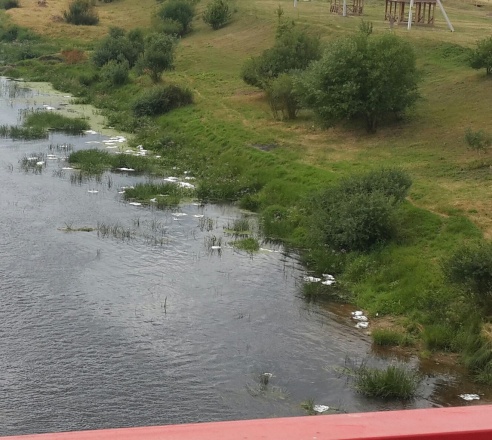 Не только авария кортежа, но и грязь