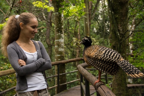 "Во многие клетки можно запросто заходить", – блогер из Горок побывала в парке птиц в Бразилии