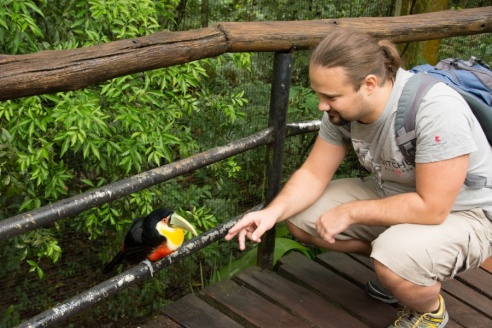 "Во многие клетки можно запросто заходить", – блогер из Горок побывала в парке птиц в Бразилии