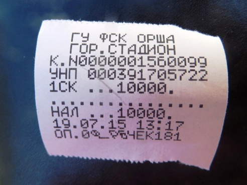 Орша в центре внимания СМИ