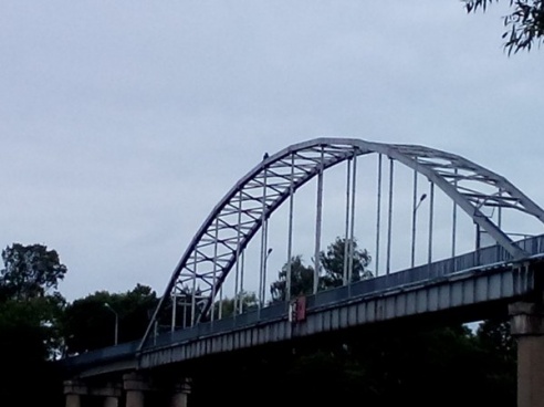 Фотофакт: на ферме пешеходного моста через Сож сидела девушка, предположительно, намеревавшаяся совершить суицид