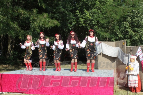 Кобрину 728 лет