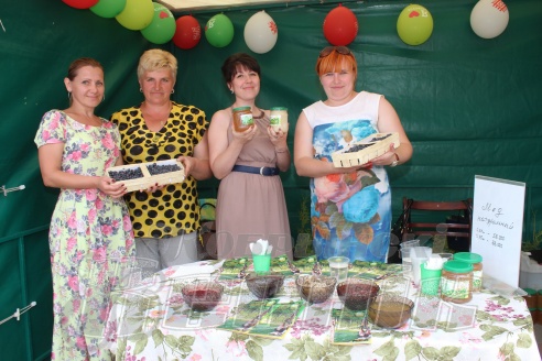 Кобрину 728 лет