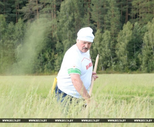 Лукашенко обучил Депардье навыкам ручной косьбы