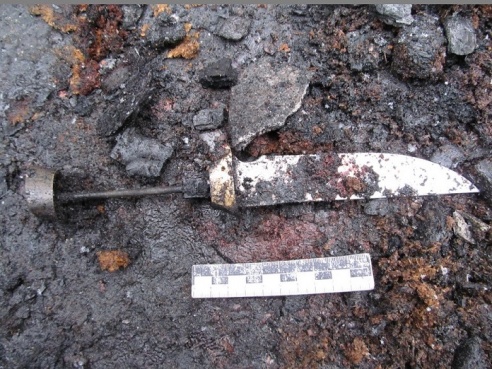 В Петрикове москвича зарезали и сожгли