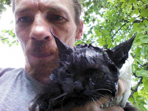 Фотофакт: гомельчанин с помощью мыла спас котенка, застрявшего в металлическом заборе