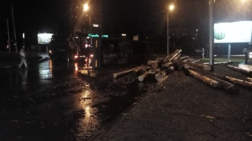 Фотофакт: на Быховском кольце перевернулся прицеп с бревнами