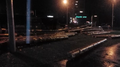 Фотофакт: на Быховском кольце перевернулся прицеп с бревнами