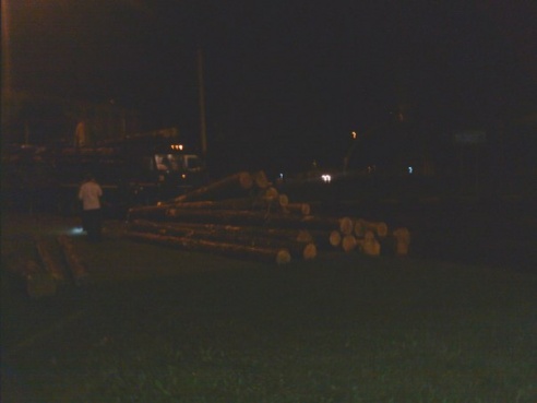 Фотофакт: на Быховском кольце перевернулся прицеп с бревнами