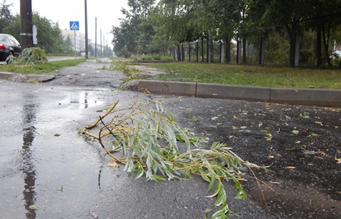 Разгул стихии в Бобруйске