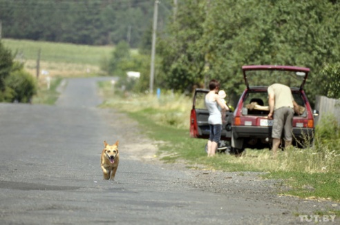 «Наш магазін закрылі, а ён красівы, як лялька»: репортаж TUT.BY из деревни Водовичи, где нет продавца — Гомель сегодня