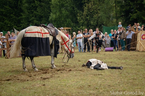 «Наш Грюнвальд 2015», 80 фотографий