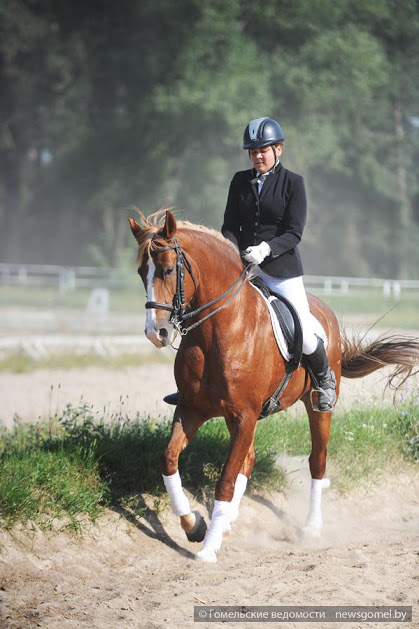 В Гомеле проходят соревнования по конному спорту