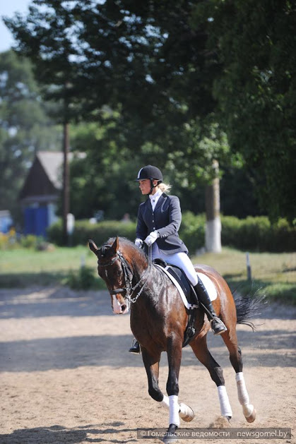 В Гомеле проходят соревнования по конному спорту