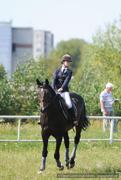 В Гомеле проходят соревнования по конному спорту