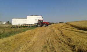 Урожай начал гореть