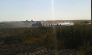 Урожай начал гореть