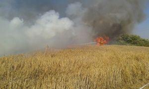 Урожай начал гореть