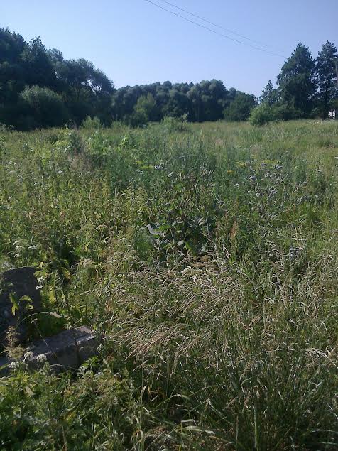 После дождичка в четверг После дождичка в четверг