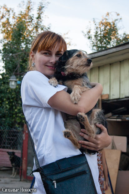 Фоторепортаж: самому большому в Беларуси приюту для бездомных животных оказали помощь