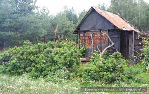 Гомельчанин летом живёт в доме на дереве