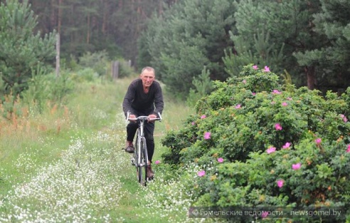 Гомельчанин летом живёт в доме на дереве