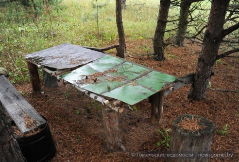 Гомельчанин летом живёт в доме на дереве