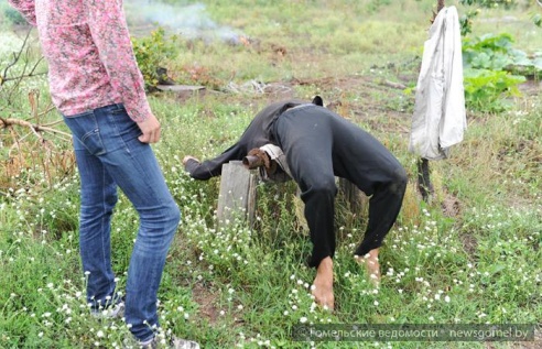 Гомельчанин летом живёт в доме на дереве