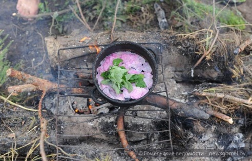 Гомельчанин летом живёт в доме на дереве