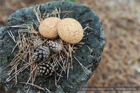 Гомельчанин летом живёт в доме на дереве