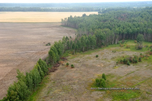 Наперегонки с ветром