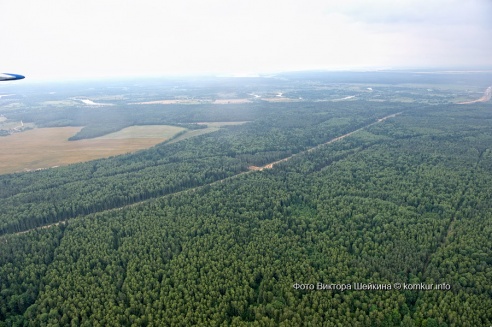 Наперегонки с ветром