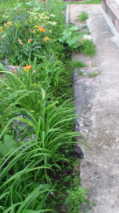 Когда закончится ремонт?