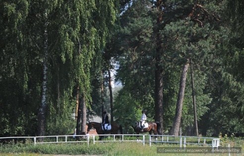 В Гомеле проходят соревнования по конному спорту