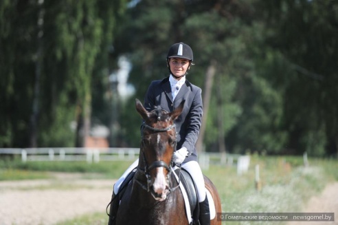 В Гомеле проходят соревнования по конному спорту