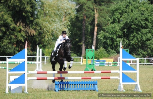 В Гомеле проходят соревнования по конному спорту