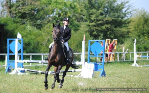 В Гомеле проходят соревнования по конному спорту